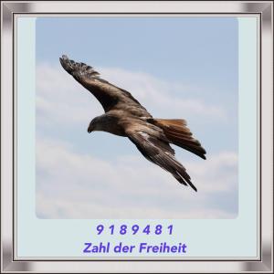 RHT_ZahlderFreiheit