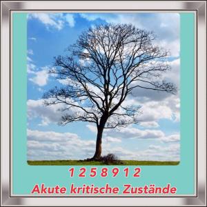 RHT_ZahlenbildKristischeZustaende