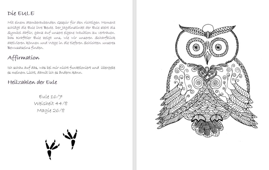 KrafttierMUSTER2_Eule